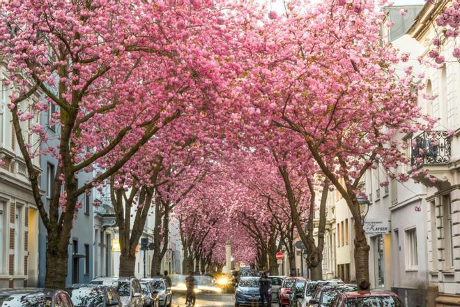 Bonn, Alemania, primavera
