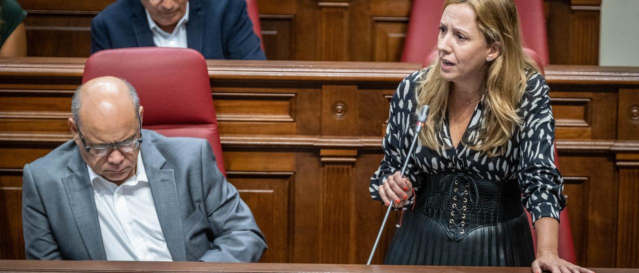 La diputada de CC, Rosa Dávila, ayer en el Pleno del Parlamento