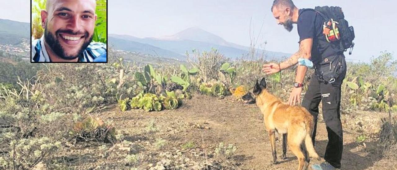Un perro del Grupo Canino de Salvamento de Protección Civil del Ayuntamiento de La Laguna, en plena búsqueda.