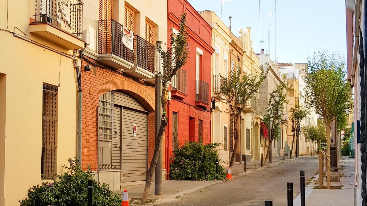 Els veïns denuncien la tala sense preavís de cinc arbres a Recesvint Els veïns denuncien la tala sense preavís de cinc arbres a Recesvint