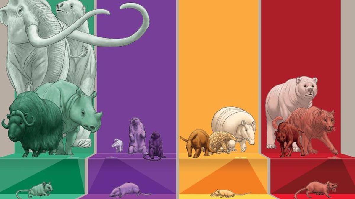 Representación artística de la dependencia en forma de U del tamaño corporal del tipo de alimento: los de mayor tamaño son los herbívoros (izquierda) y los carnívoros (derecha). Las especies extintas se muestran en la parte inferior.