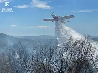 Incendio en una zona forestal de Castelló