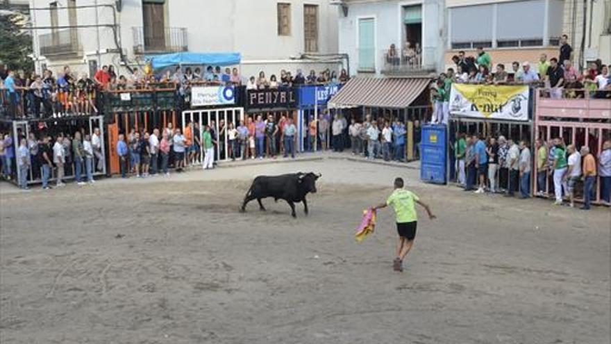 ‘Les penyes’ toman el mando en Moncofa en los festejos en honor a Sant Antoni