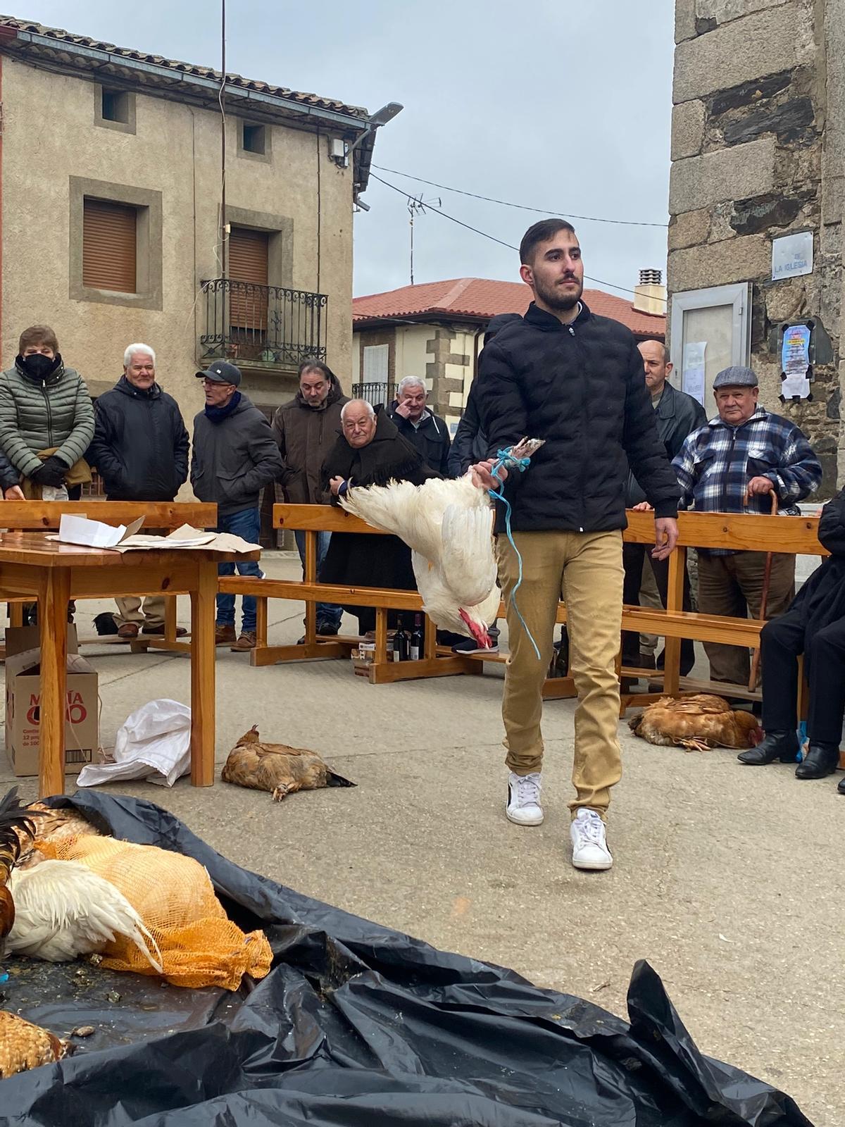 Subasta de los gallos pedreses.