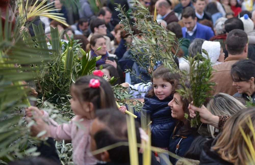 Semana Santa en Pontevedra 2016 | La Burrita recupera el recorrido entre la iglesias de San José y la escalinata de San Francisco