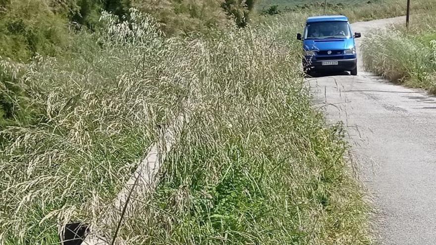 La carretera GO-15, en la que se actuará, cubierta de maleza. | LNE