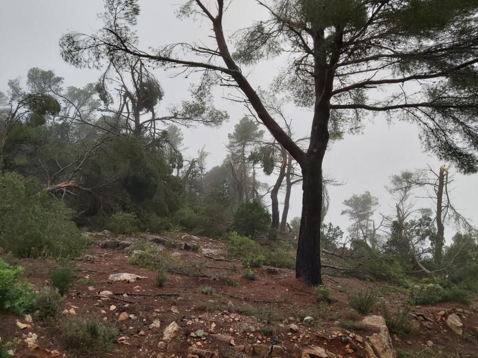 El temporal descarga sobre Ibiza y Formentera