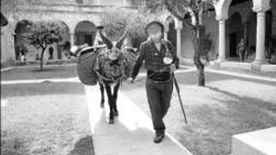 Hacen el camino de santiago acompañados con burros, perros...