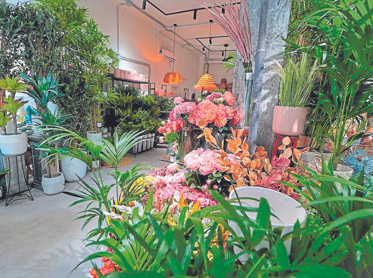 Interior de la Floristería Kentia