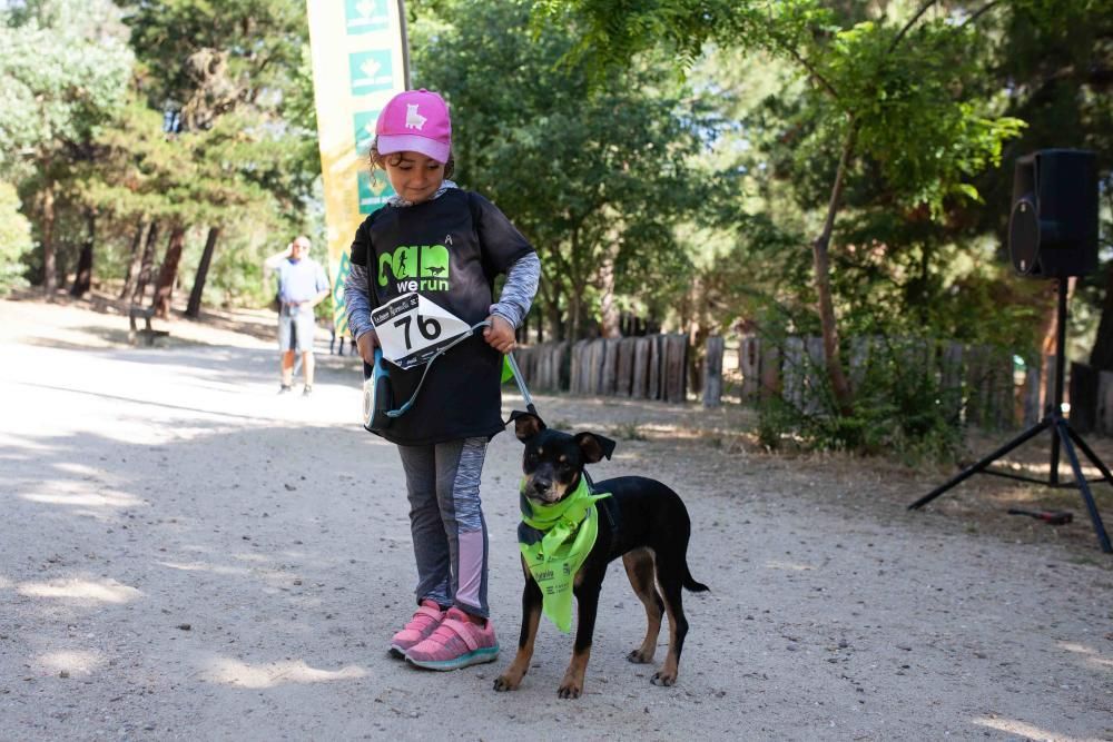 II Can We Run en Zamora