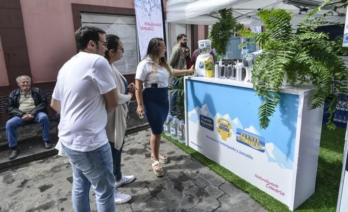 GÁLDAR. Feria Enorte en Gáldar.  | 06/04/2019 | Fotógrafo: José Pérez Curbelo