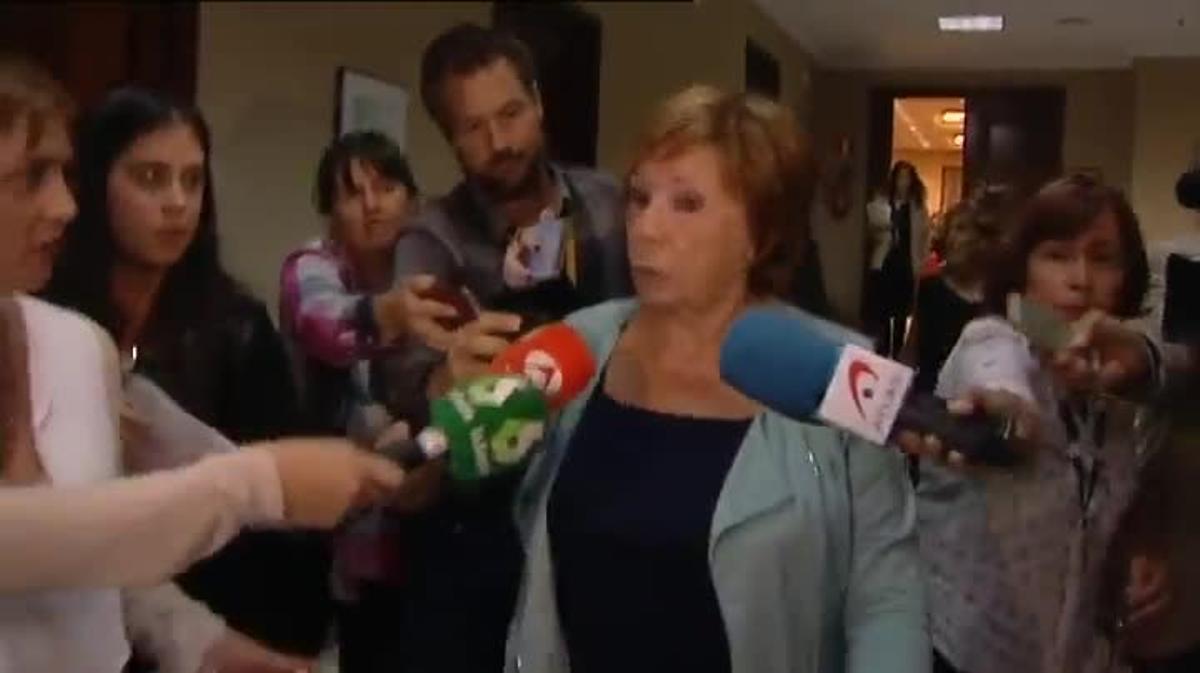 Declaracions de Celia Villalobos