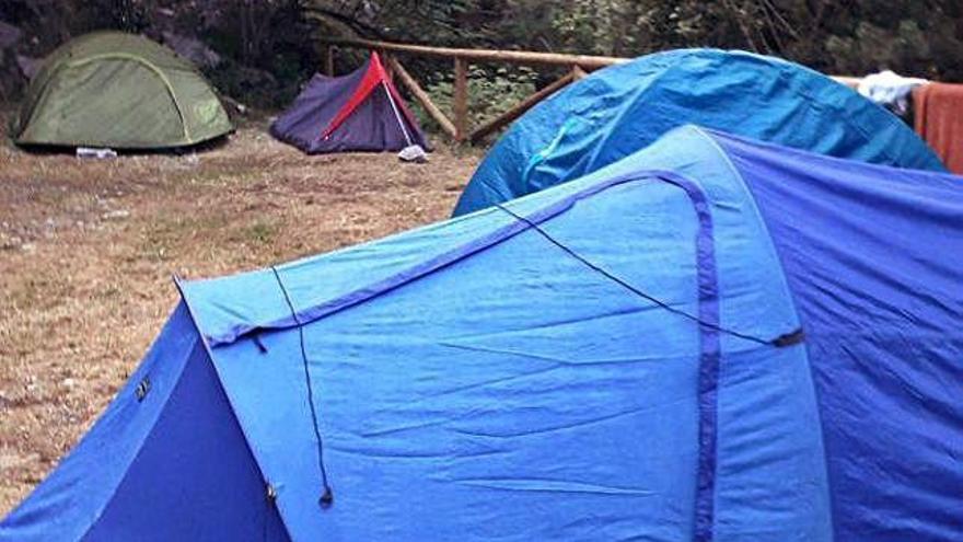 Algunes tendes localitzades aquest estiu al parc nacional.