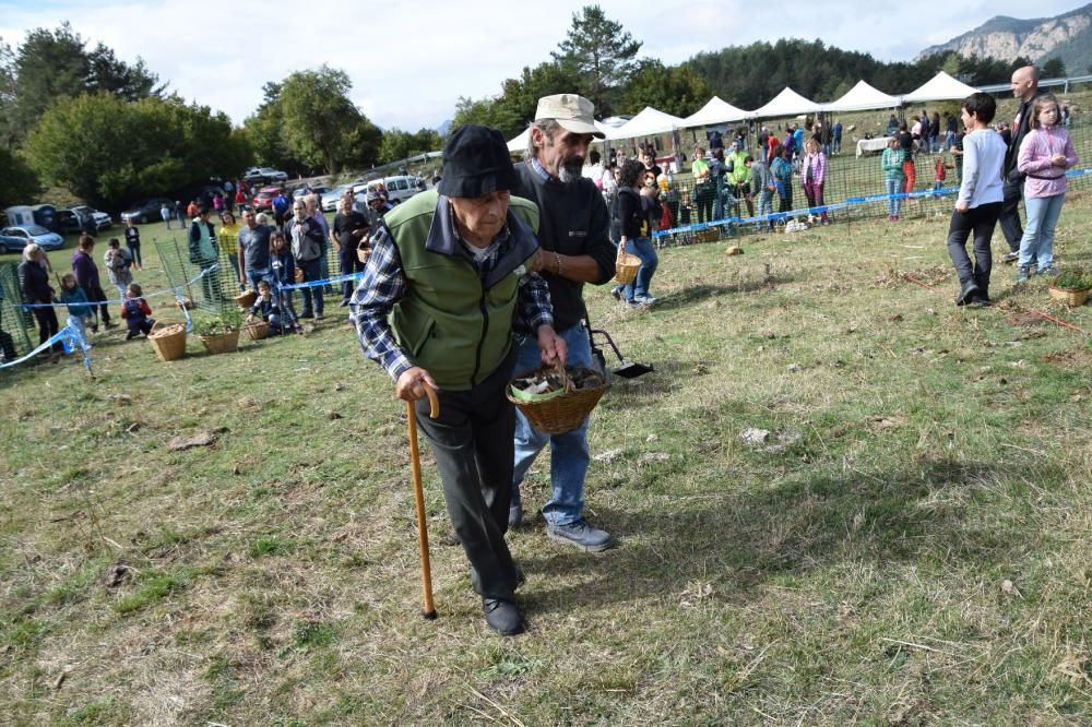 Concurs boletaire de Puigventós