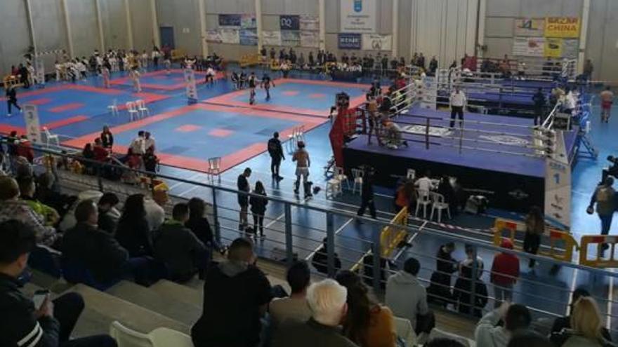 Rojales acogió una competición con 200 luchadores de kick boxing en su pabellón