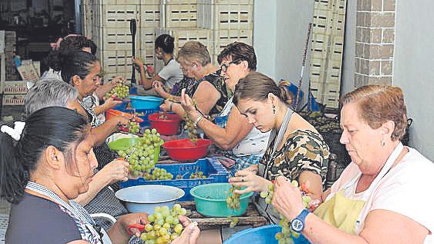 &quot;Estisorar&quot;, &quot;fer safareig&quot; y &quot;barxa&quot;, el trabajo invisible sale a la luz