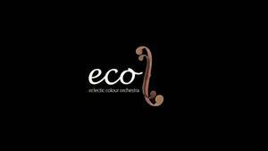 Vídeo de presentació de l’Eclèctic Colour Orchestra