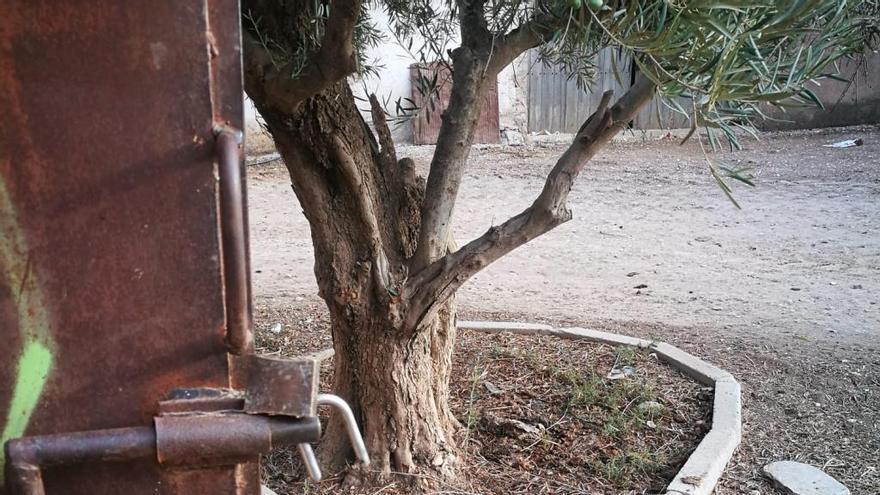 La puerta forzada de una de las fincas asaltadas.