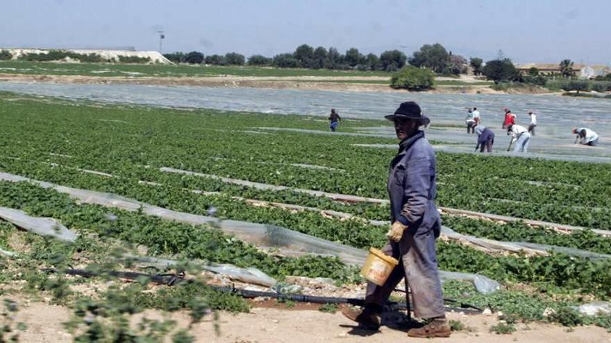 El cambio climático ya ha afectado a más de 20.000 hectáreas de vegetación en la Región