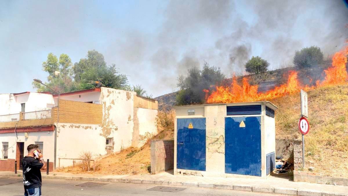 VÍDEO | Incendio en las inmediaciones del cerro del Carambolo, en Camas (Sevilla)
