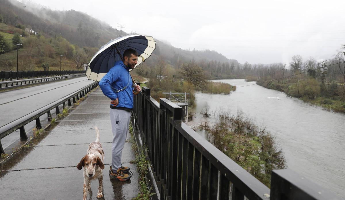 Un joven con su perro observa el Nalón desde el puente de Palomar, en Ribera de Arriba.