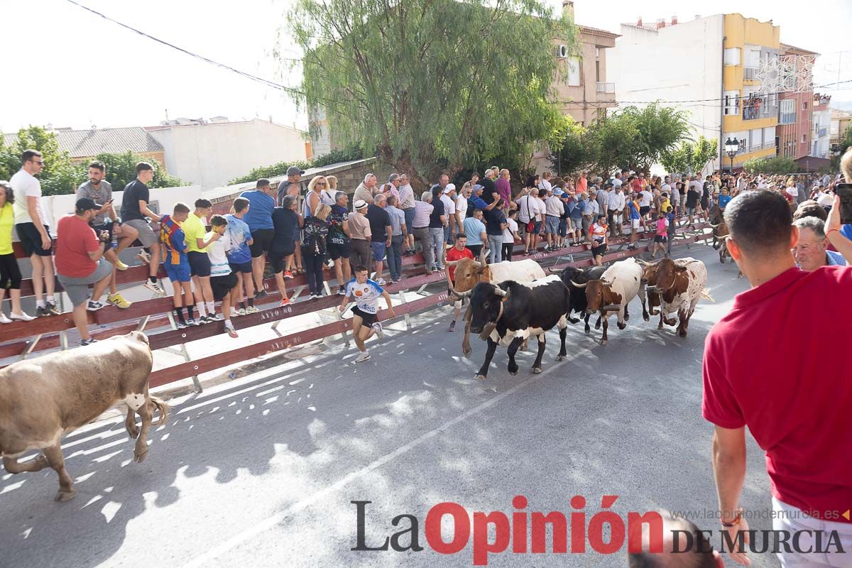 Séptimo encierro de las Fiestas de Moratalla