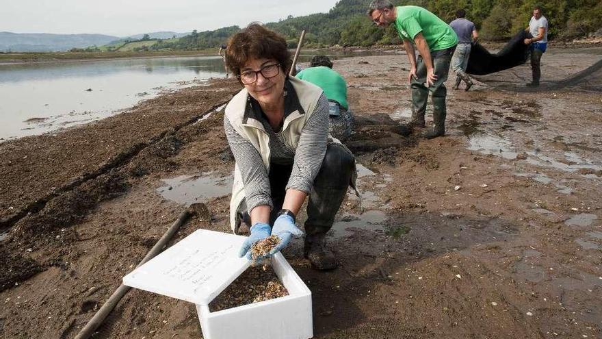 Carmen Rodríguez muestra algunos de los juveniles que fueron sembrados ayer en la ría de Villaviciosa.