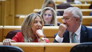 Archivo - La portavoz del PP en el Senado,  Alicia García Rodríguez, y el senador Javier Arenas, durante una sesión plenaria