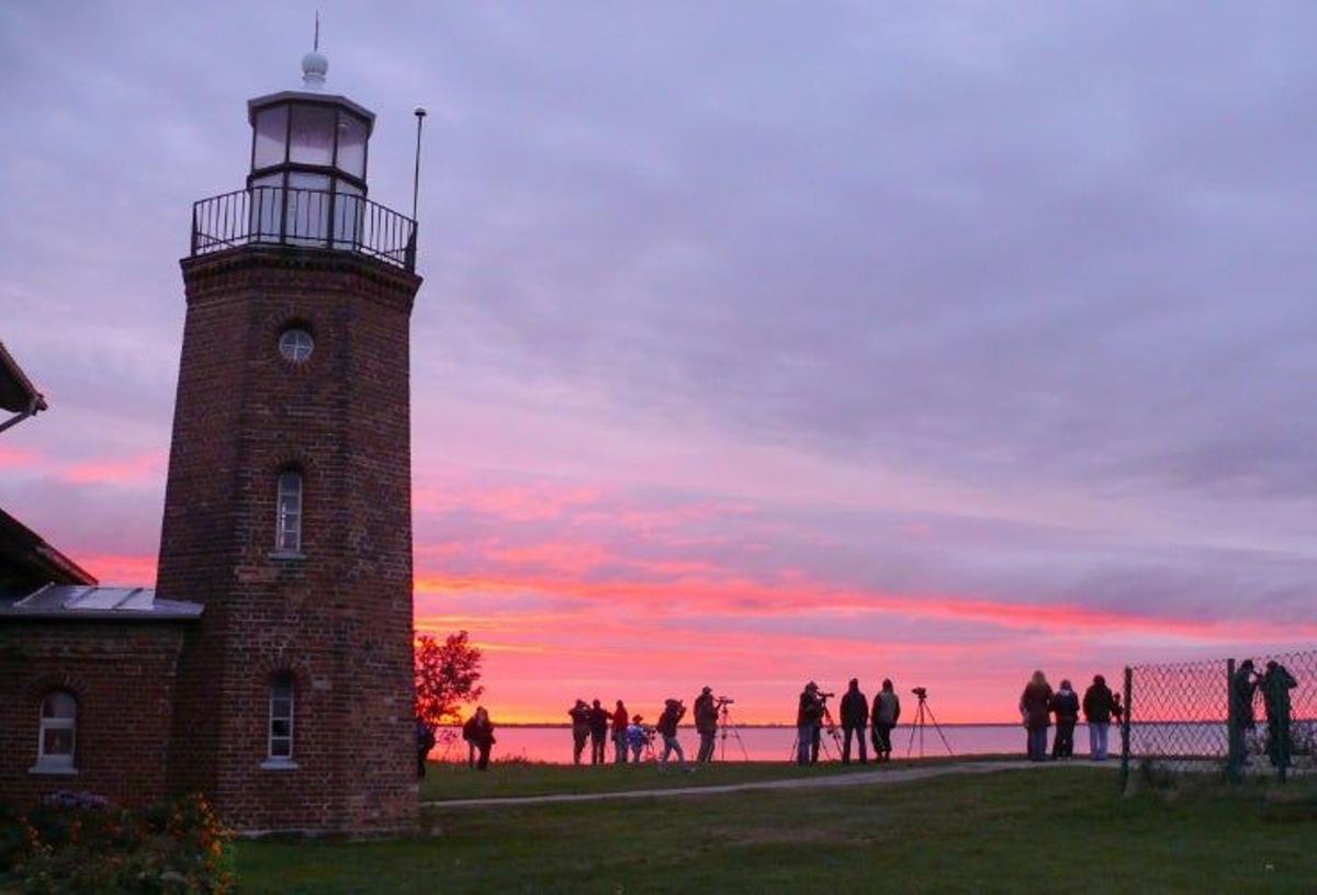 Cape Vente, Lituania, 5 planes para celebrar la llegada del otoño en Lituania