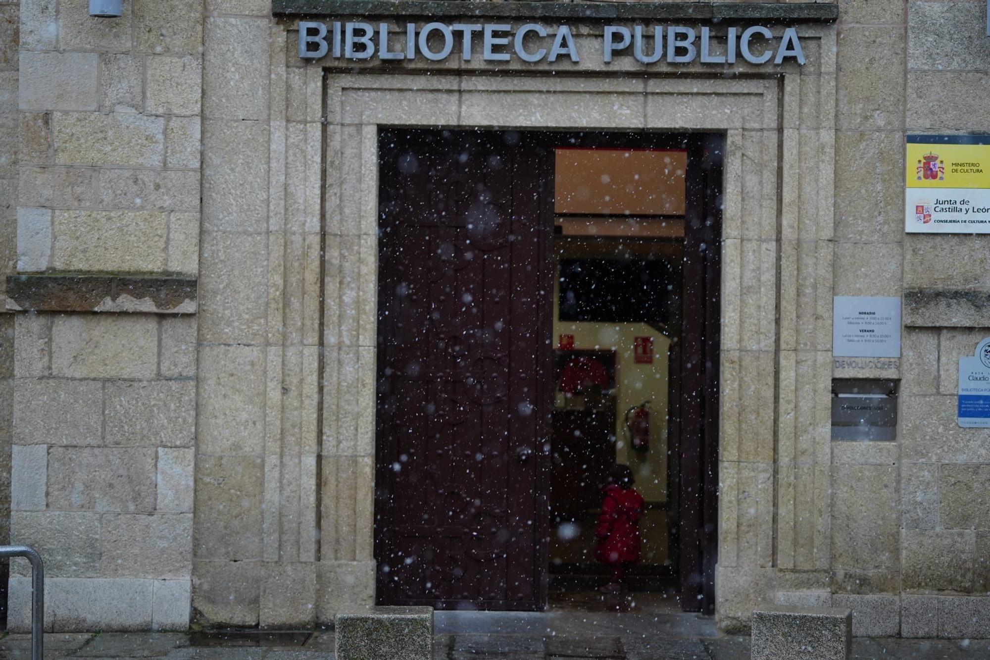 GALERÍA | Las mejores imágenes de la nieve en Zamora capital