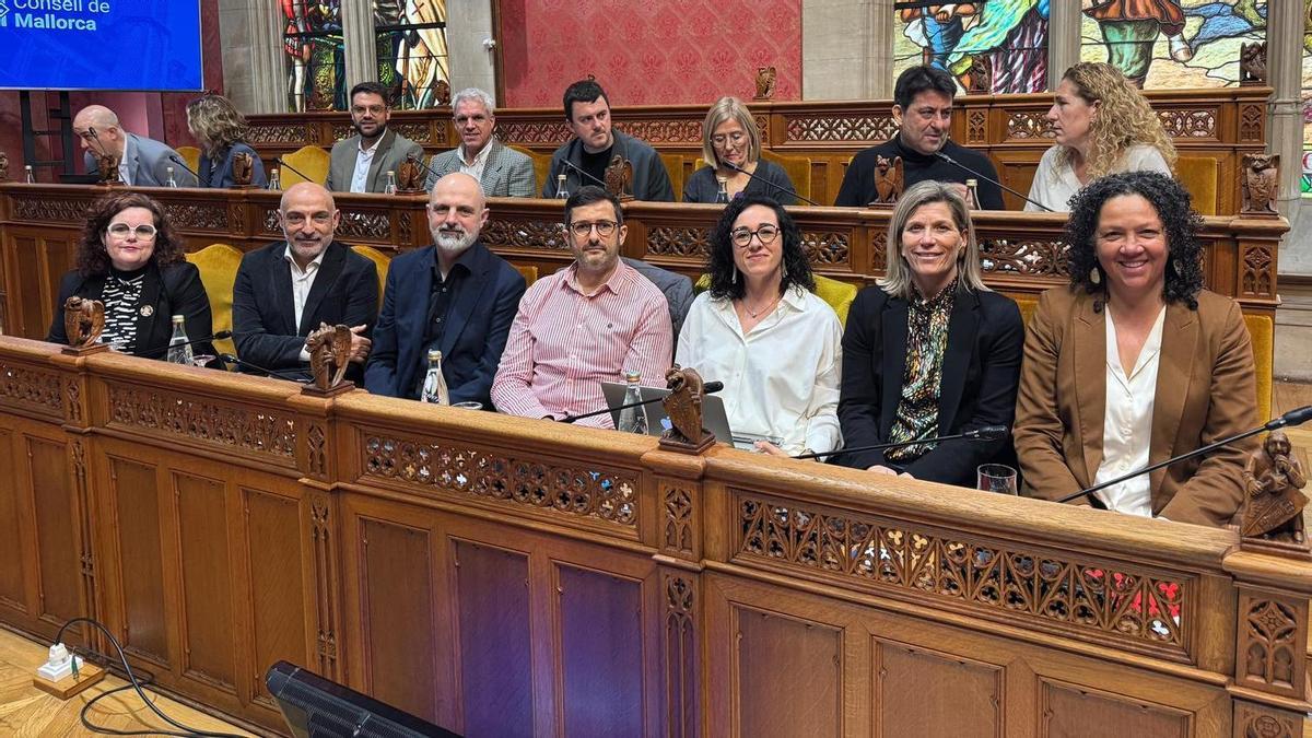 La bancada del PSOE en el Consell de Mallorca.