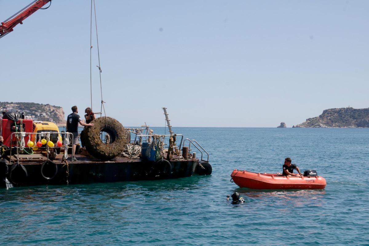 Aliança per treure residus del mar a l'Estartit i a la desembocadura del Ter