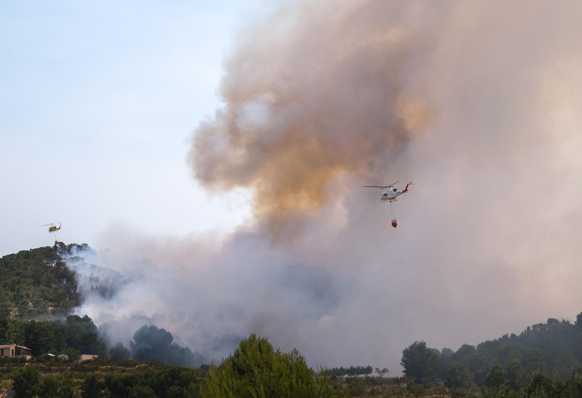 Un año después del incendio forestal en la sierra de la Zafra y Las Pedrizas de Monóvar la zona presenta un aspecto desolador