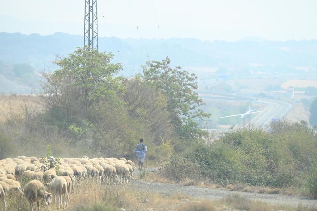 En imágenes | Sexto día de lucha contra el incendio de Las Peñas de Riglos