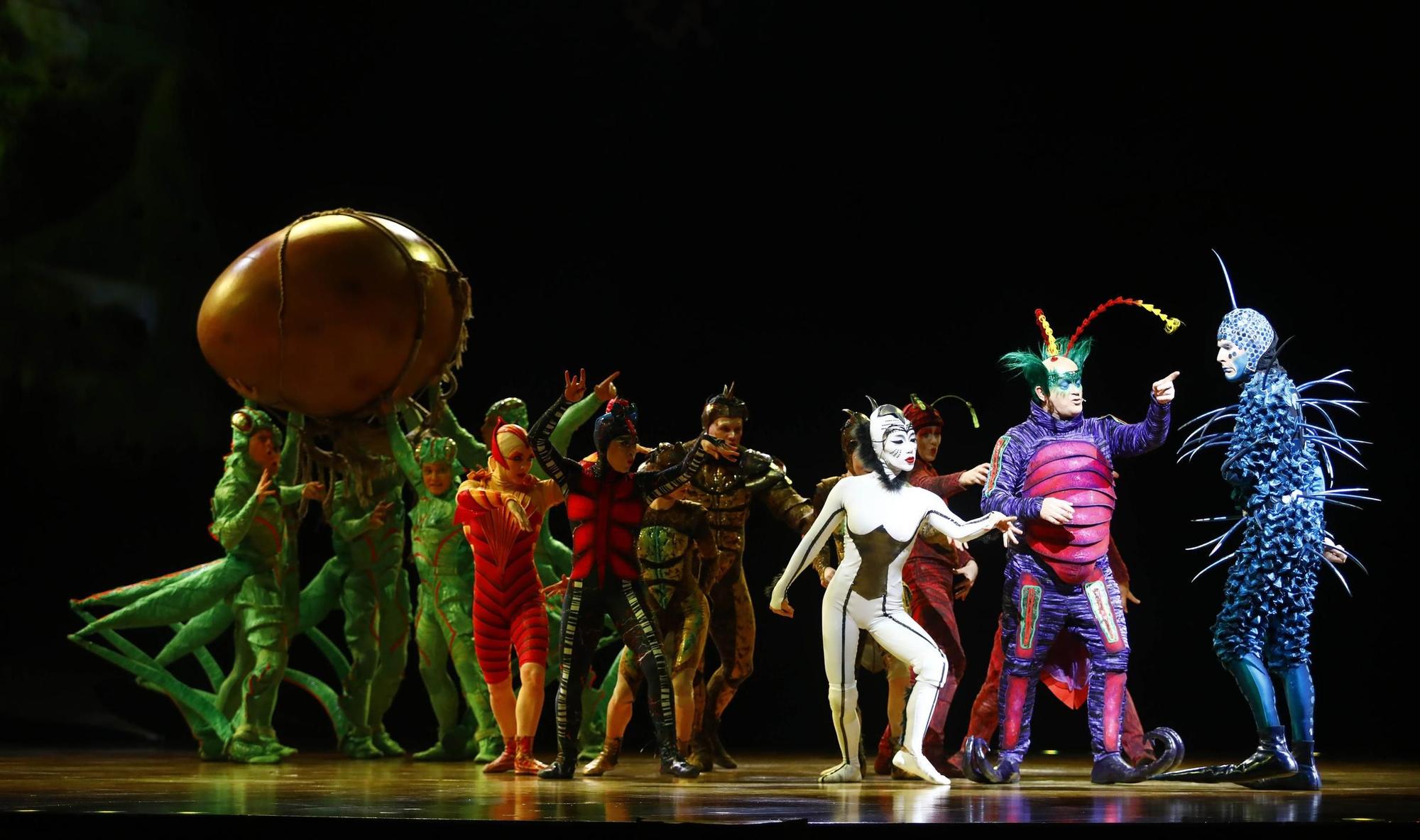 En imágenes | Así es ‘Ovo’, el espectáculo del Circo del Sol que se ha llegado a Zaragoza