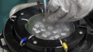 Un donant de semen va transmetre una malaltia rara a tres persones