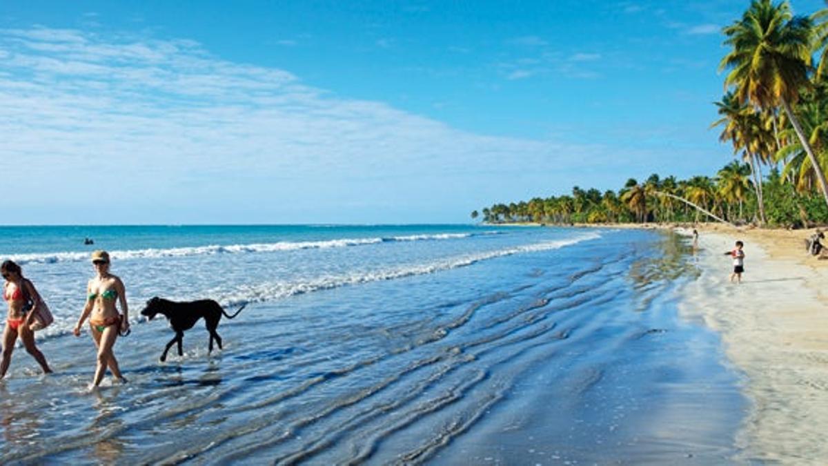 Península de Samaná. La costa más pura de la República Dominicana