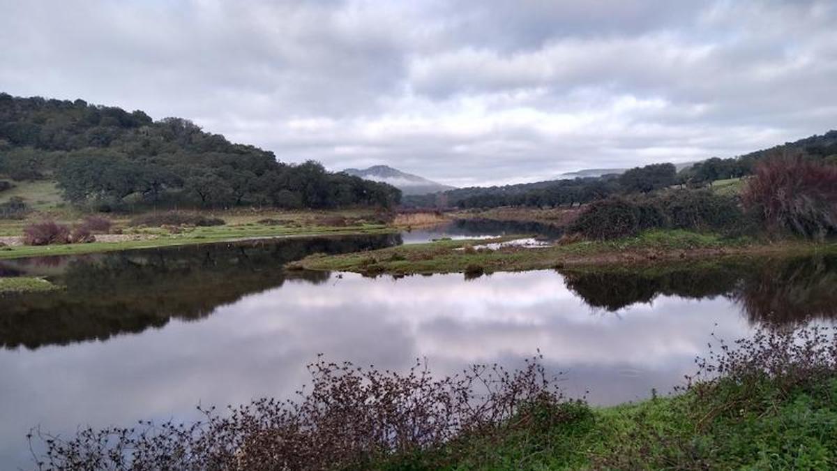 Camino del Batrocal, El Real de la Jara