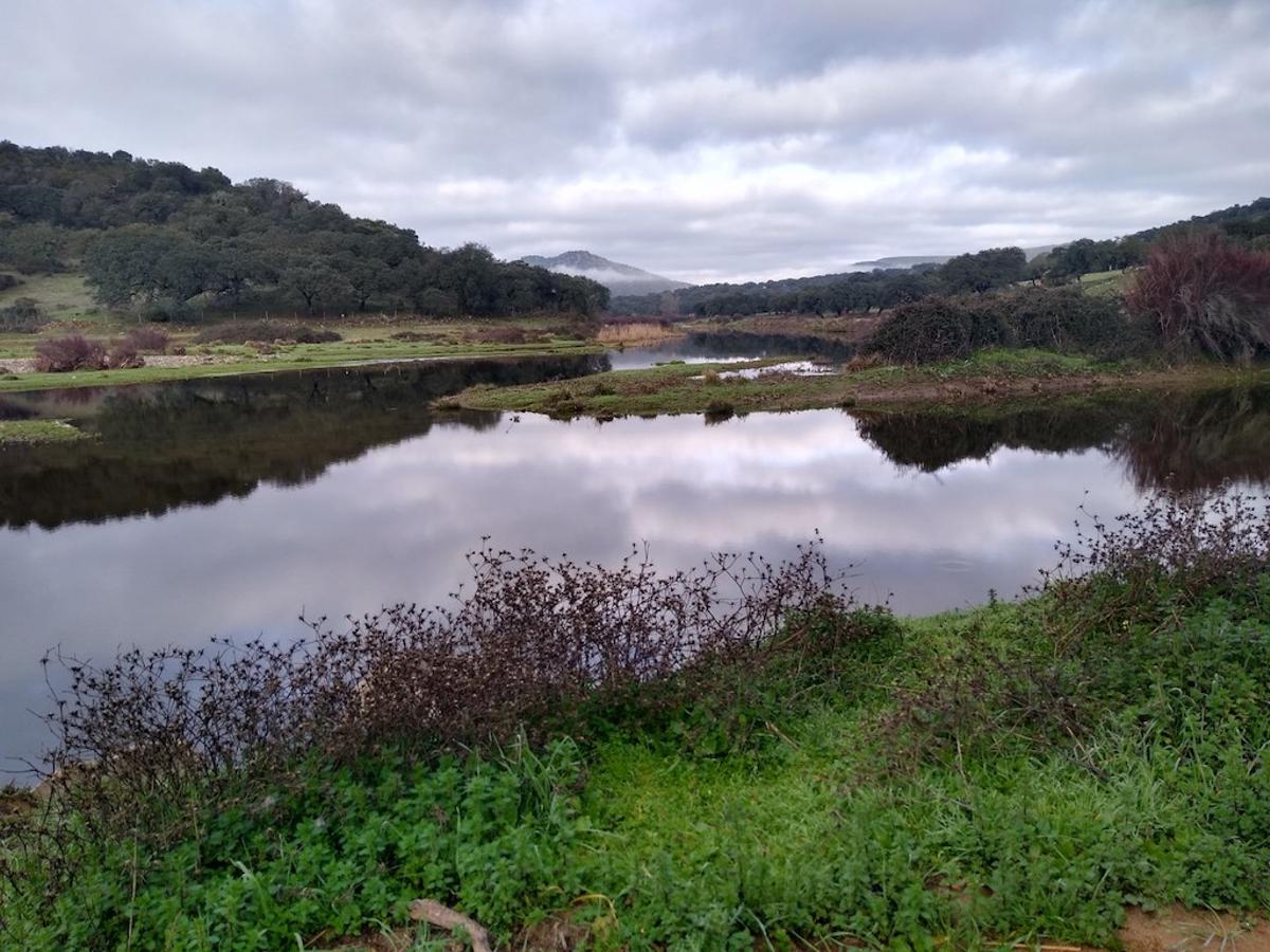 Camino del Batrocal, El Real de la Jara