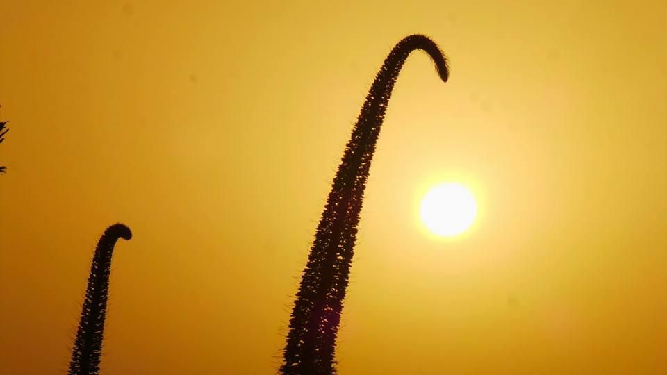 Amanecer en Las Palmas de Gran Canaria (05/12/17)