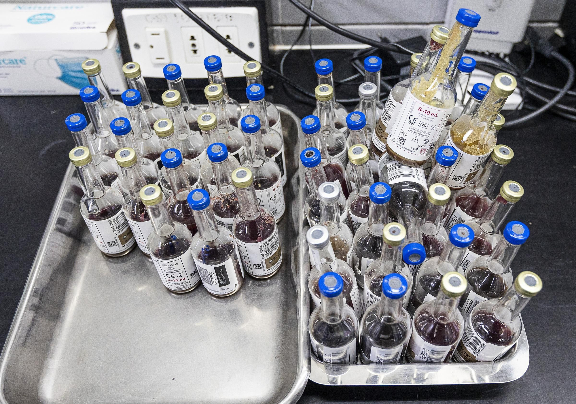 Protocolo para optimizar la respuesta rápida en código sepsis en Alicante