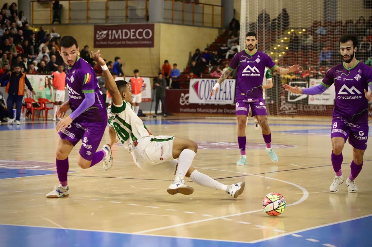 Córdoba Futsal Patrimonio-Mallorca Palma: el partido en imágenes Córdoba Futsal Patrimonio-Mallorca Palma: el partido en imágenes