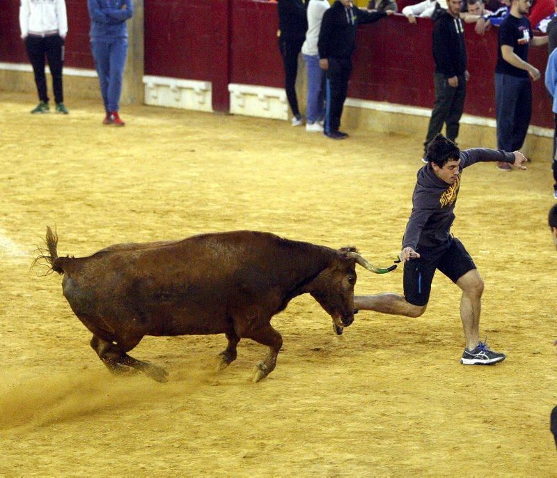 Primera mañana de vaquillas