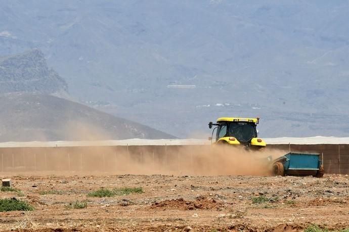 17/07/2019 POZO IZQUIERDO. SANTA LUCIA DE TIRAJANA. Tierra en los Duplex de Pozo Izquierdo por las obras de unos invernaderos.  Fotógrafa: YAIZA SOCORRO.  | 17/07/2019 | Fotógrafo: Yaiza Socorro