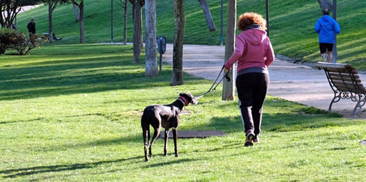 El objetivo fundamental de esta medida es la limpieza de las calles