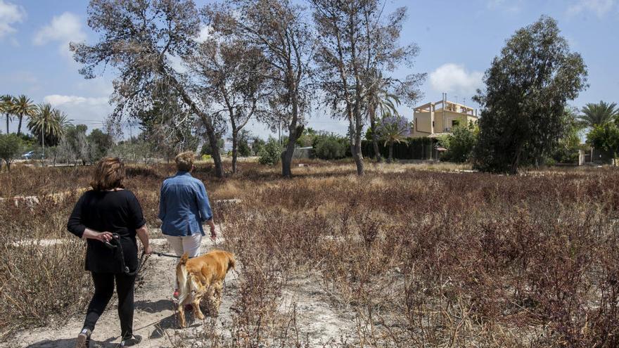 Máxima alerta de incendios en Alicante por el calor y el abandono del monte