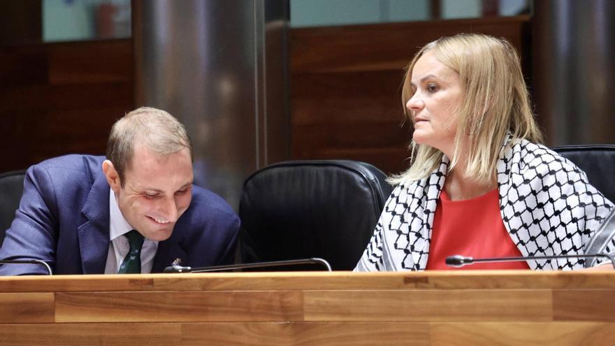 Adrián Pumares y Covadonga Tomé, en una imagen de una sesión plenaria en la Junta.