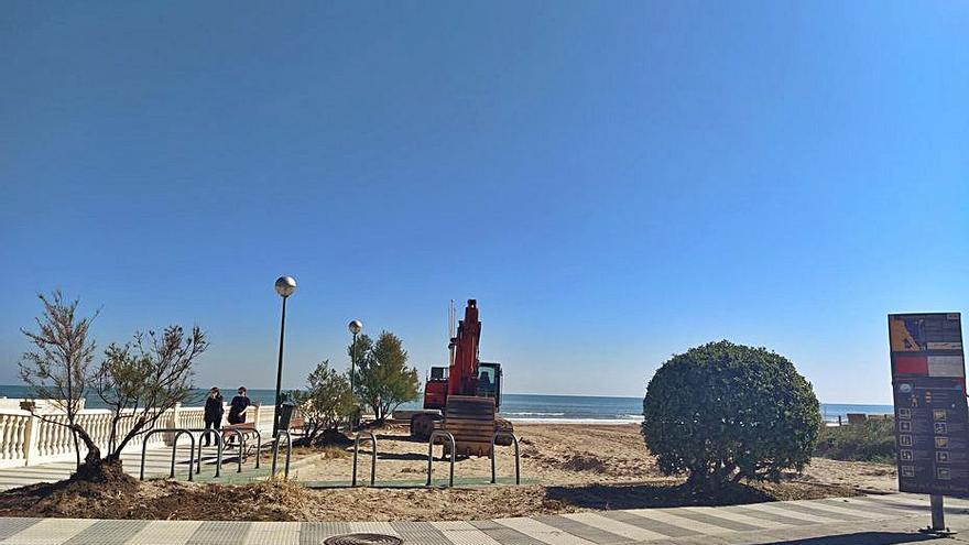 Trabajos de limpieza en la playa de Oliva. | LEVANTE-EMV