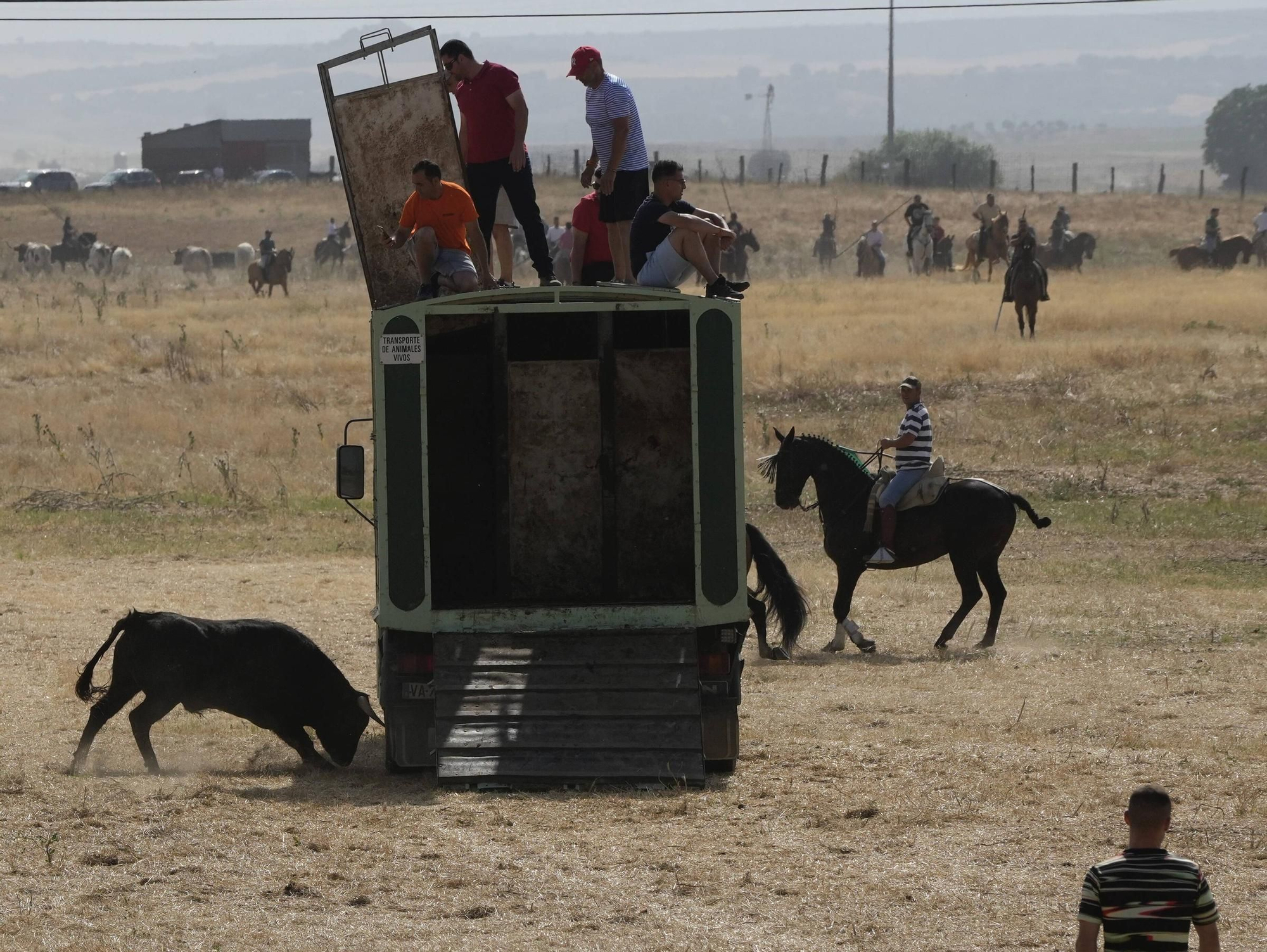 GALERÍA | Multitudinario encierro en la pradera de Guarrate
