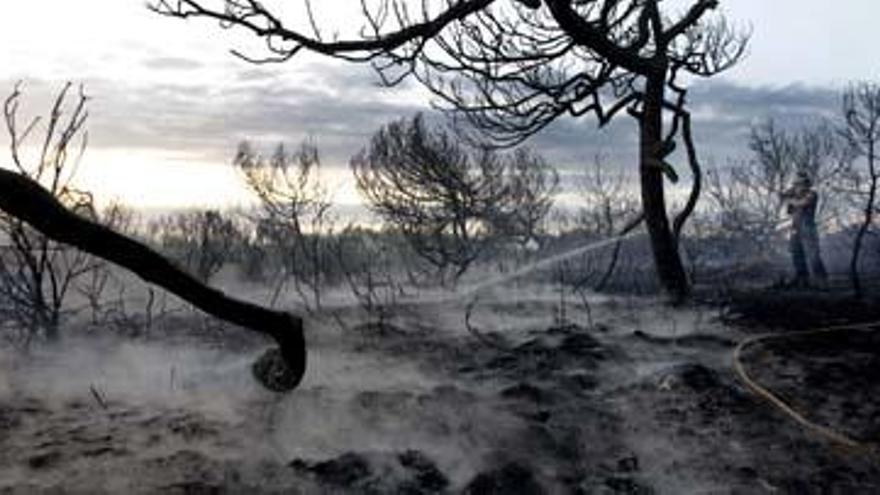 La alerta antiincendios  se extrema en El Saler